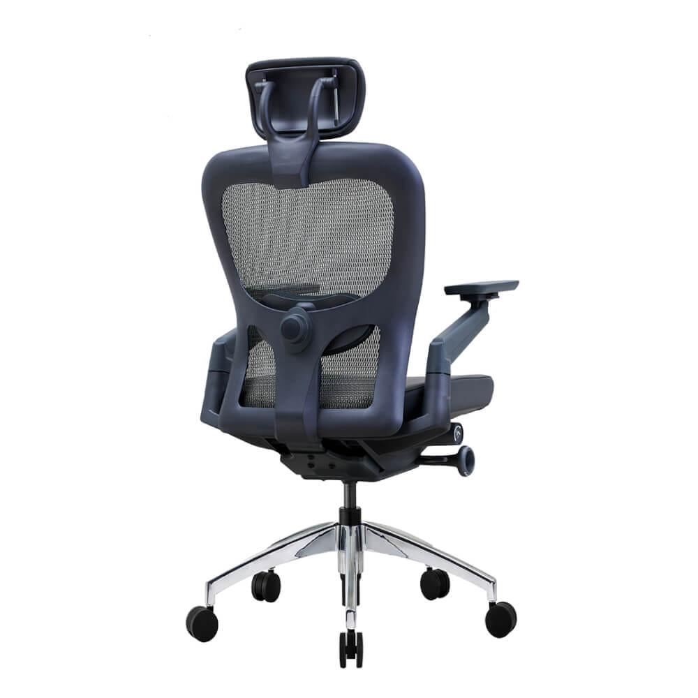 เก้าอี้เพื่อสุขภาพ DF PROCHAIR รุ่น Wonder-H สีดำ